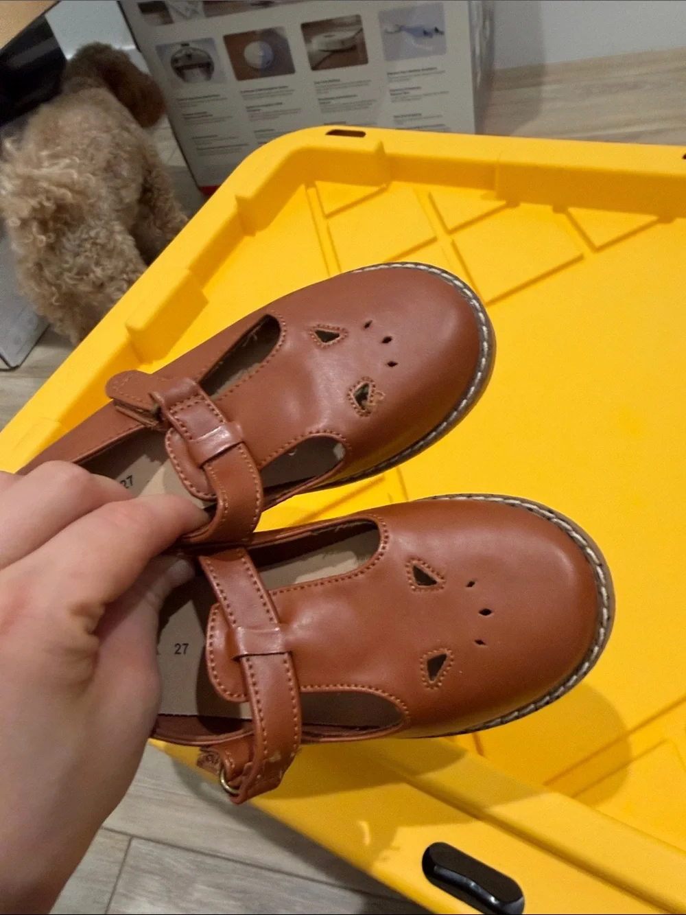Zara Girls' Brown Mary Jane Shoes with Cutout Detail